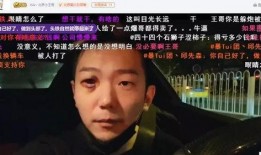 北京王哥爆料视频大全集,揭秘京城风云录