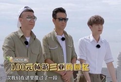 2017极限挑战在线观看,重温经典瞬间，在线观看重温兄弟情谊