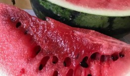 任县新瓜最新爆料,揭秘任县最新热点事件背后的真相